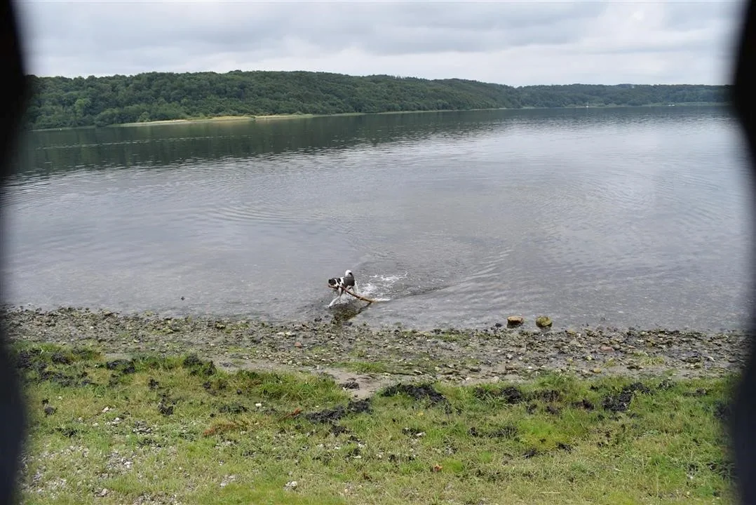 G21.5  bramslev bakker to hobro walk along mariager fjord (9)